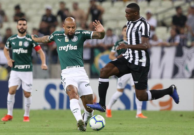 Watch Palmeiras vs Bragantino Live Sports Stream